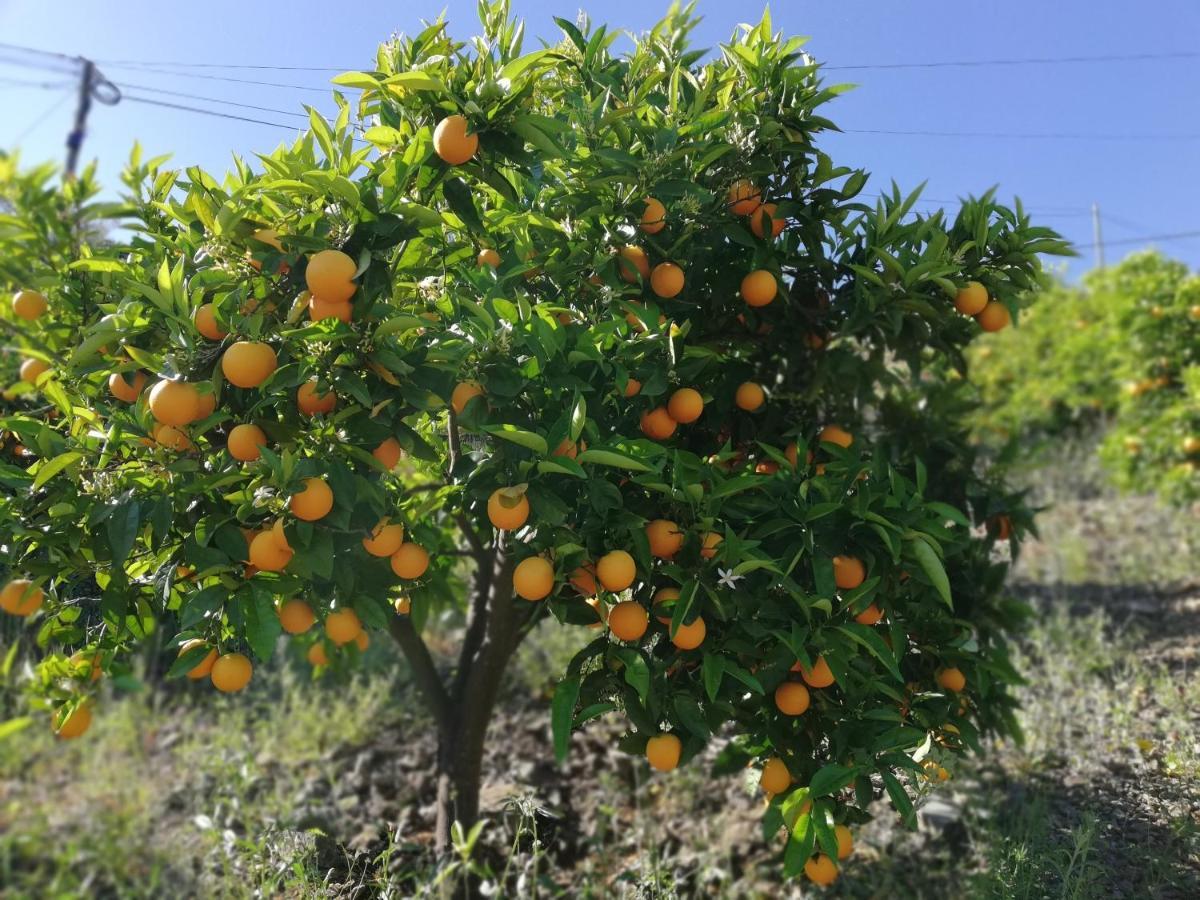 CovelinhasCasa Do Rio别墅 外观 照片